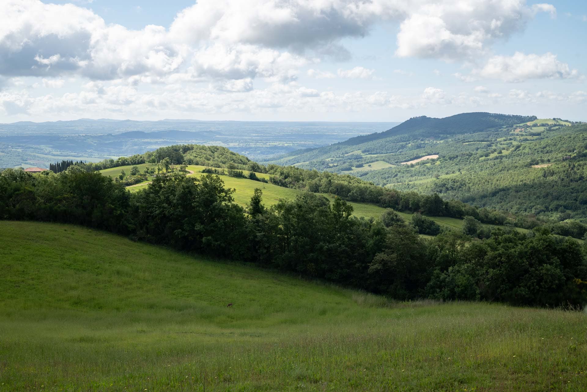 Panoramă a colinelor toscane la Cortevecchia