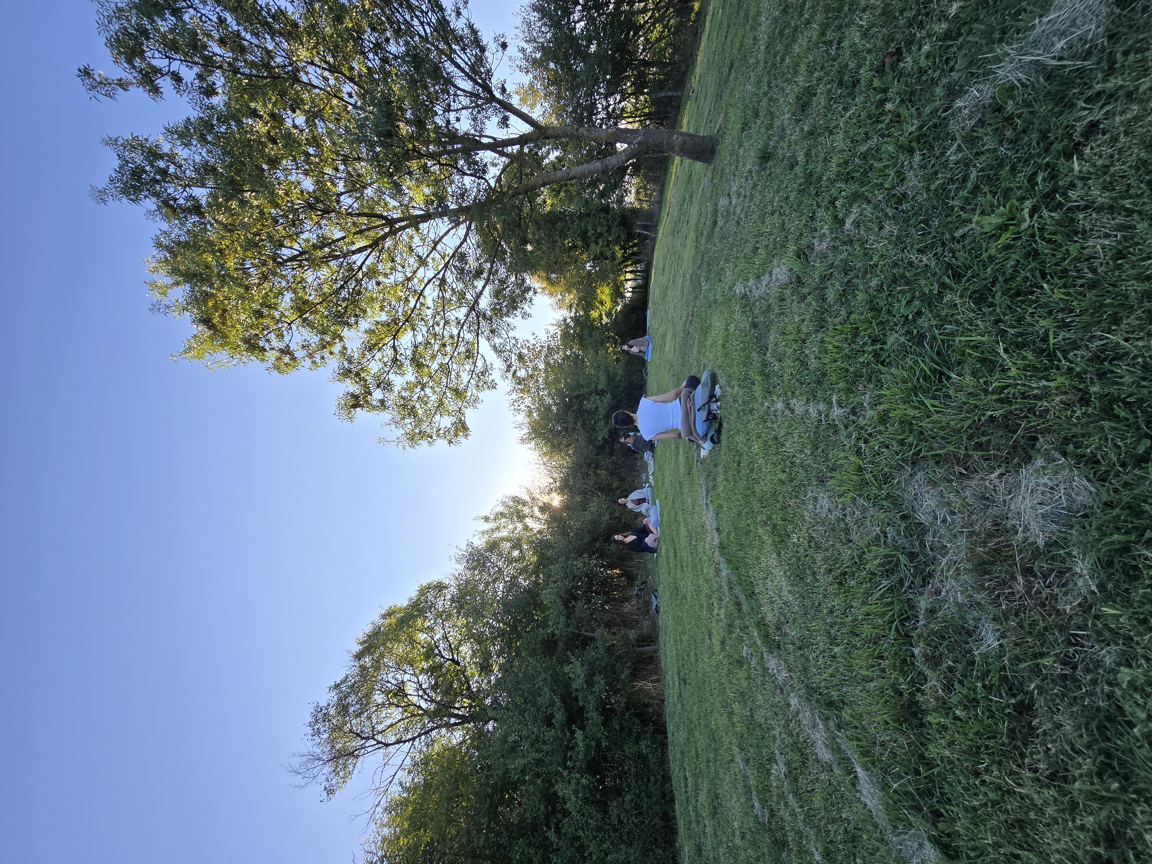 Meditație în parc la apus