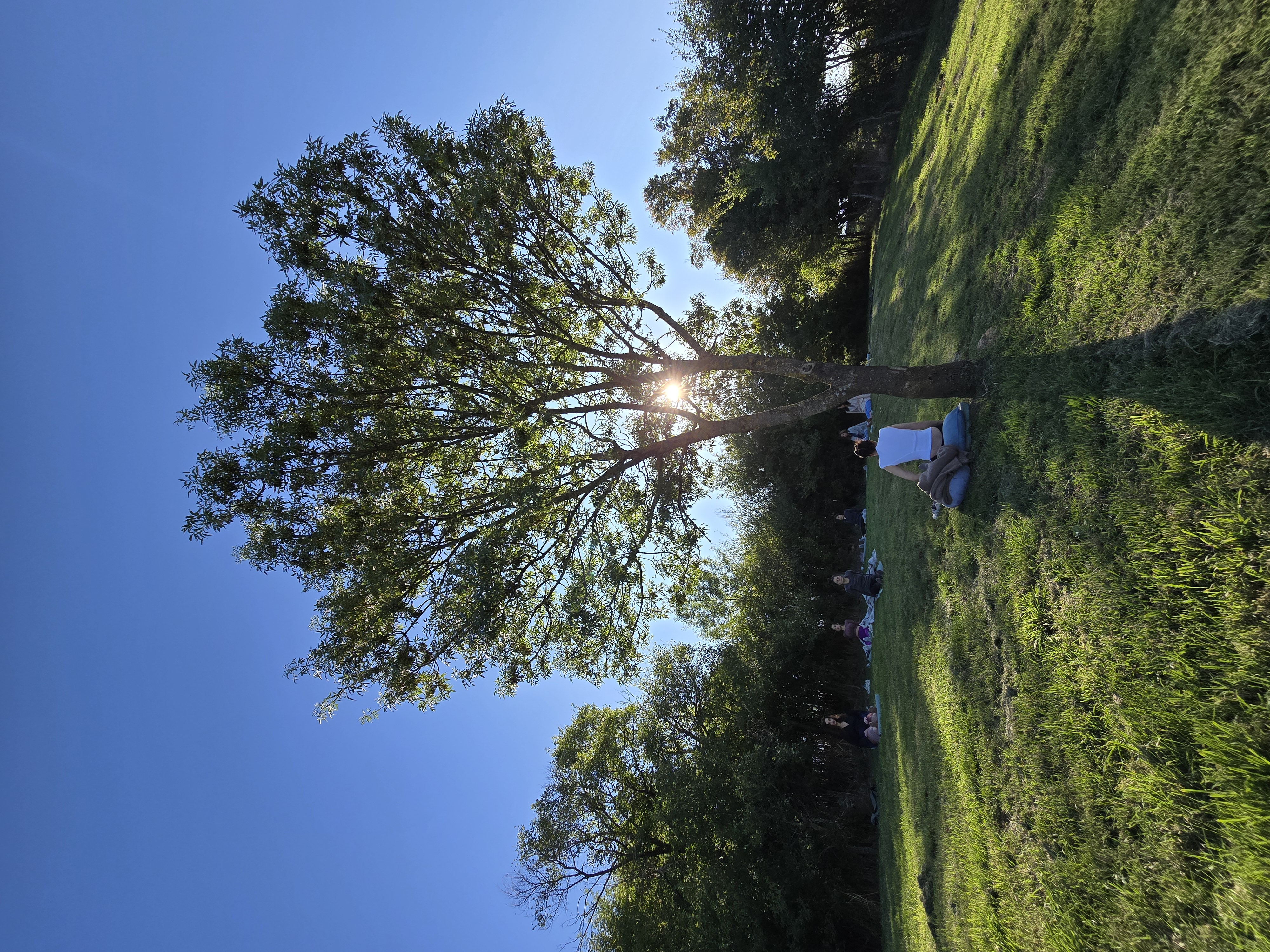 Meditație în natură